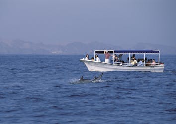 Дельфинами и снорклинг в Оман